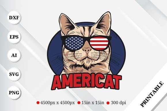 Americat Graphics for T-Shirt Designs